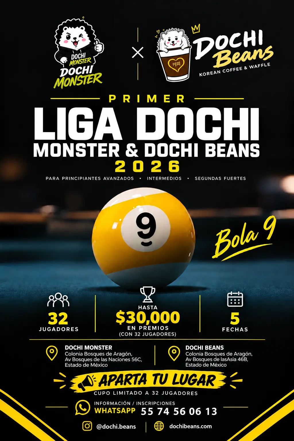 Flyer del Torneo de Billar Bola 9 para Intermedios en Dochi Monster: sábados 7 y 21 de noviembre, 5 y 19 de diciembre, gran final 26 de diciembre 2026.